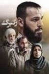 حمیدرضا محمدی
